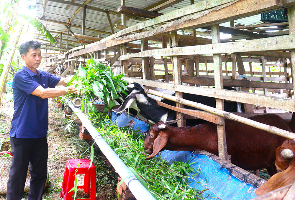 Nông dân thi đua xây dựng tỉnh nhà với những mô hình kinh tế hiệu quả.
