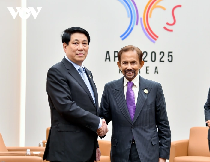 Hôm nay, Quốc vương Brunei thăm cấp Nhà nước tới Việt Nam