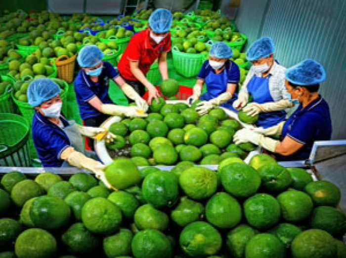 Tập trung phát triển kinh tế tư nhân