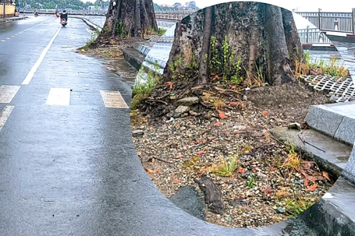 Hoàn thiện phần bồn cho “cây cô đơn”