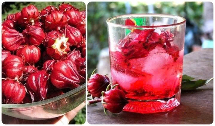 Các hoạt chất trong atiso giúp kích thích sản xuất và bài tiết mật, từ đó hỗ trợ tiêu hóa và hấp thụ chất béo tốt hơn Hỗ trợ tiêu hóa, giảm cân.