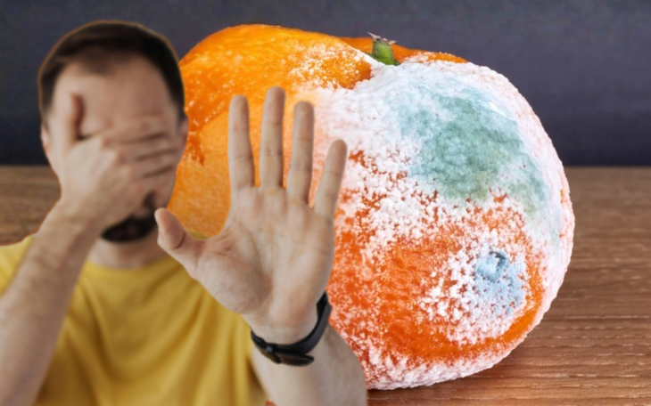 Miếng phô mai mốc xanh, hạt đậu phộng hơi hôi hay trái cây không còn tươi, bạn có bao giờ tiếc của mà cố ăn tiếp? - Ảnh: AI