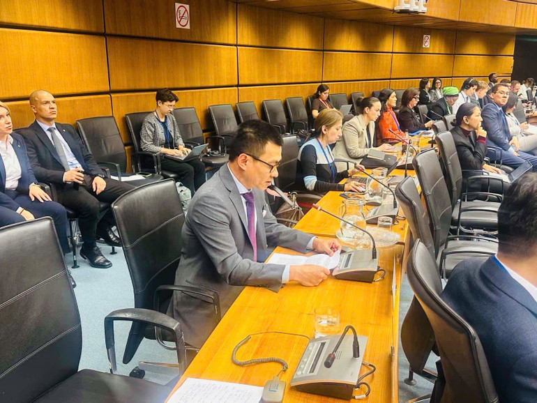 Đại sứ Vũ Lê Thái Hoàng phát biểu tại phiên họp.