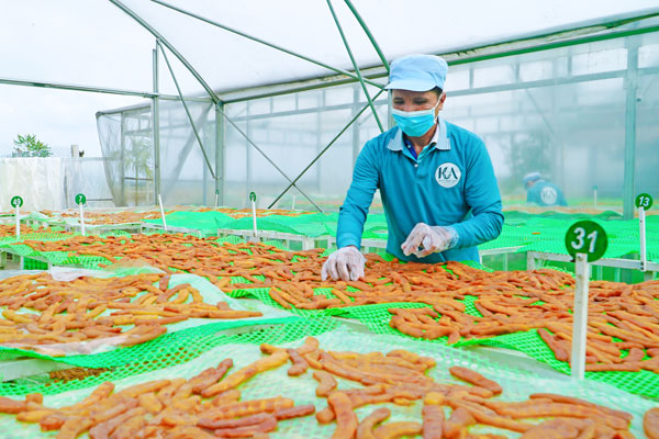 Các cơ sở sản xuất mứt Tết tất bật để phục vụ nhu cầu thị trường.