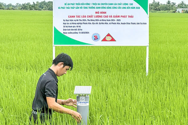 Đề án góp phần nâng cao chất lượng lúa, giảm chi phí vật tư đầu vào, giảm phát thải khí nhà kính.

