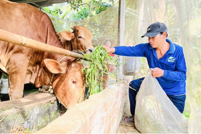 Nguồn vốn tín dụng chính sách góp phần đảm bảo an sinh