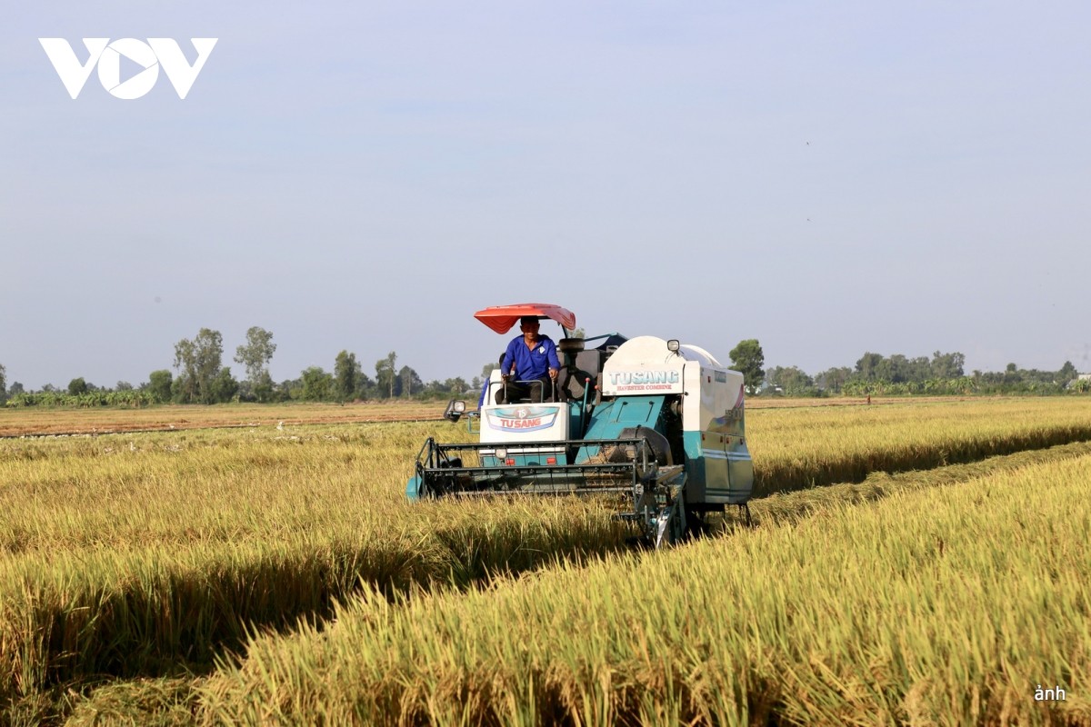 Khơi thông nguồn lực, tạo cú hích cho vựa lúa miền Tây