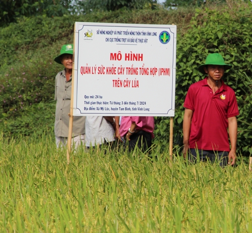 Sử dụng phân bón, thuốc bảo vệ thực vật an toàn, hiệu quả trong chương trình IPHM