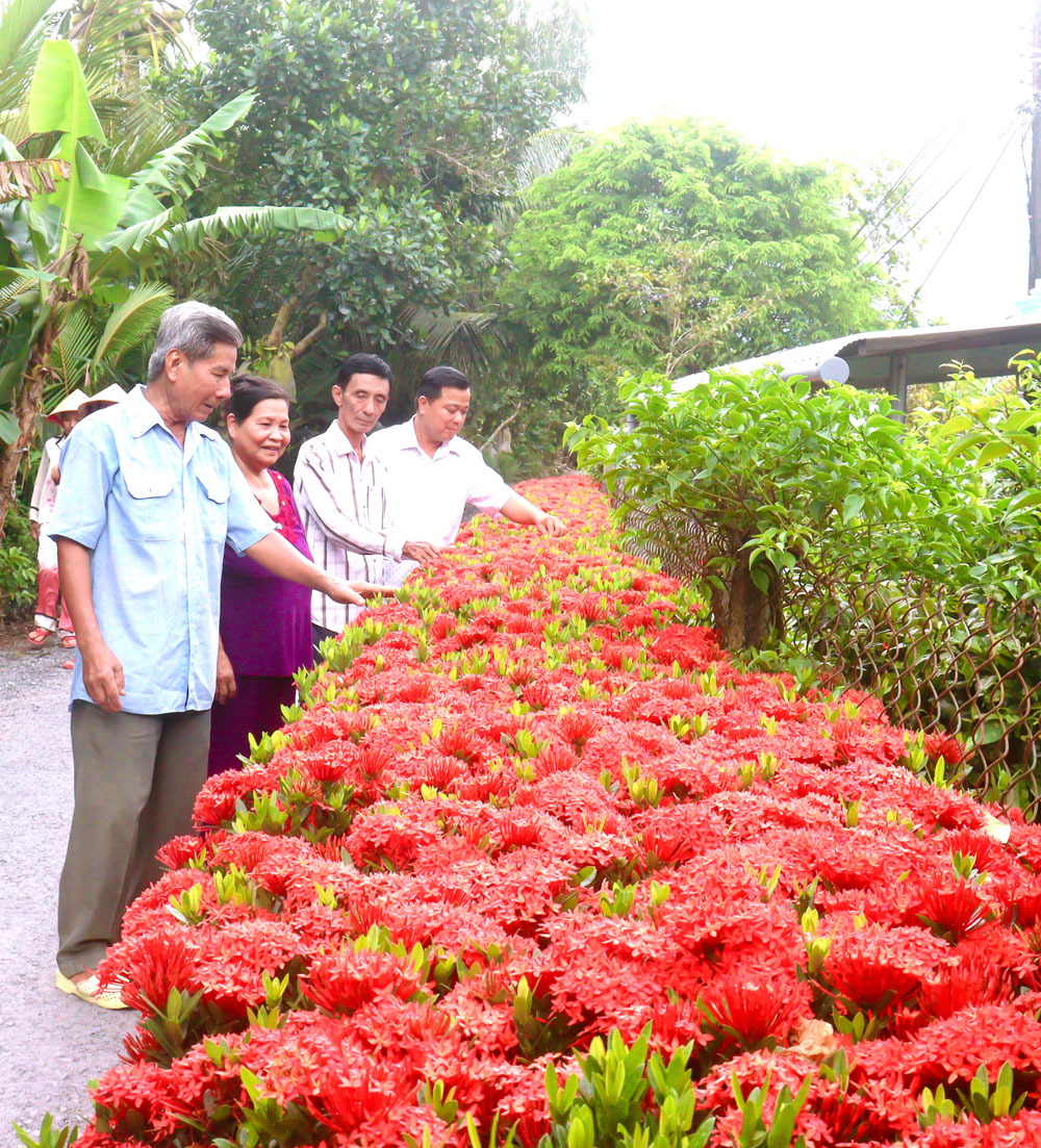 Phát huy vai trò chủ thể nông dân trong xây dựng NTM.

