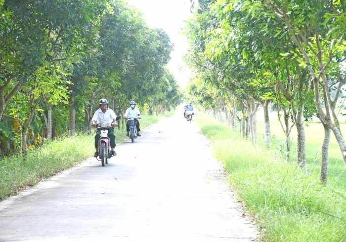 Diện mạo xã nông thôn mới Tân Xuân