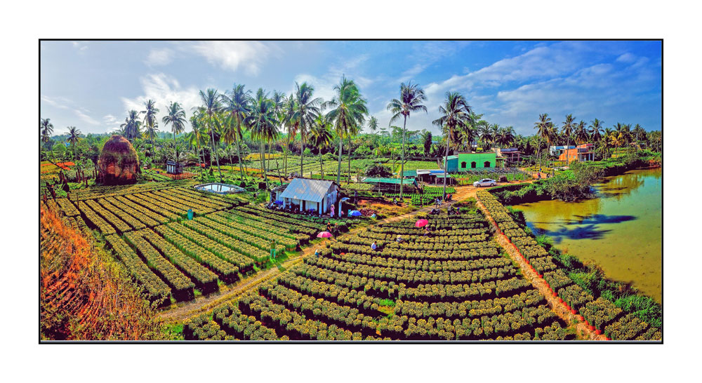 Một góc làng hoa kiểng Chợ Lách- Cái Mơn nhìn trên cao. Ảnh: TRẦN THANH SANG

