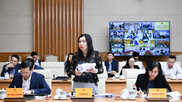 Đại diện lãnh đạo Bộ Ngoại giao phát biểu ý kiến tại phiên họp. (Ảnh: TRẦN HẢI)