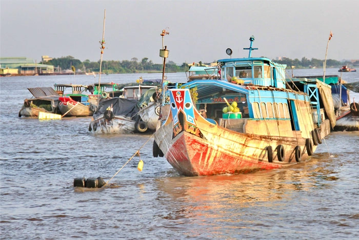 Ngược xuôi sông nước miền Tây