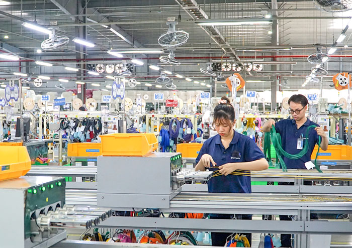 Năm 2024 cả nước có gần 940.100 doanh nghiệp, trong đó vùng ĐBSCL chỉ có gần 70.700 doanh nghiệp.

