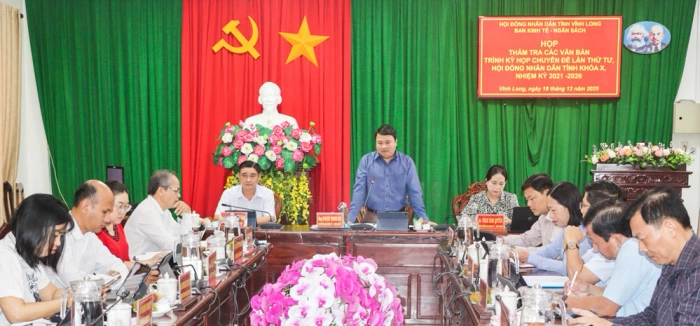 Thẩm tra các dự thảo nghị quyết trình kỳ họp chuyên đề lần thứ tư HĐND tỉnh