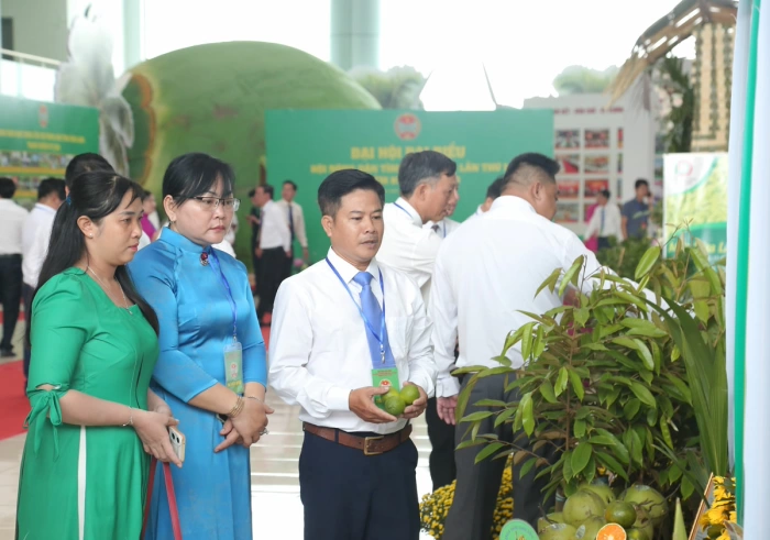 Sắc màu không gian trưng bày hình ảnh hoạt động và các sản phẩm nông nghiệp tiêu biểu