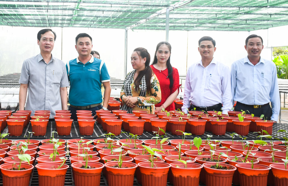 Ứng dụng công nghệ sinh học vào sản xuất cây giống và hoa kiểng tại cơ sở cây kiểng Hoàng Long.