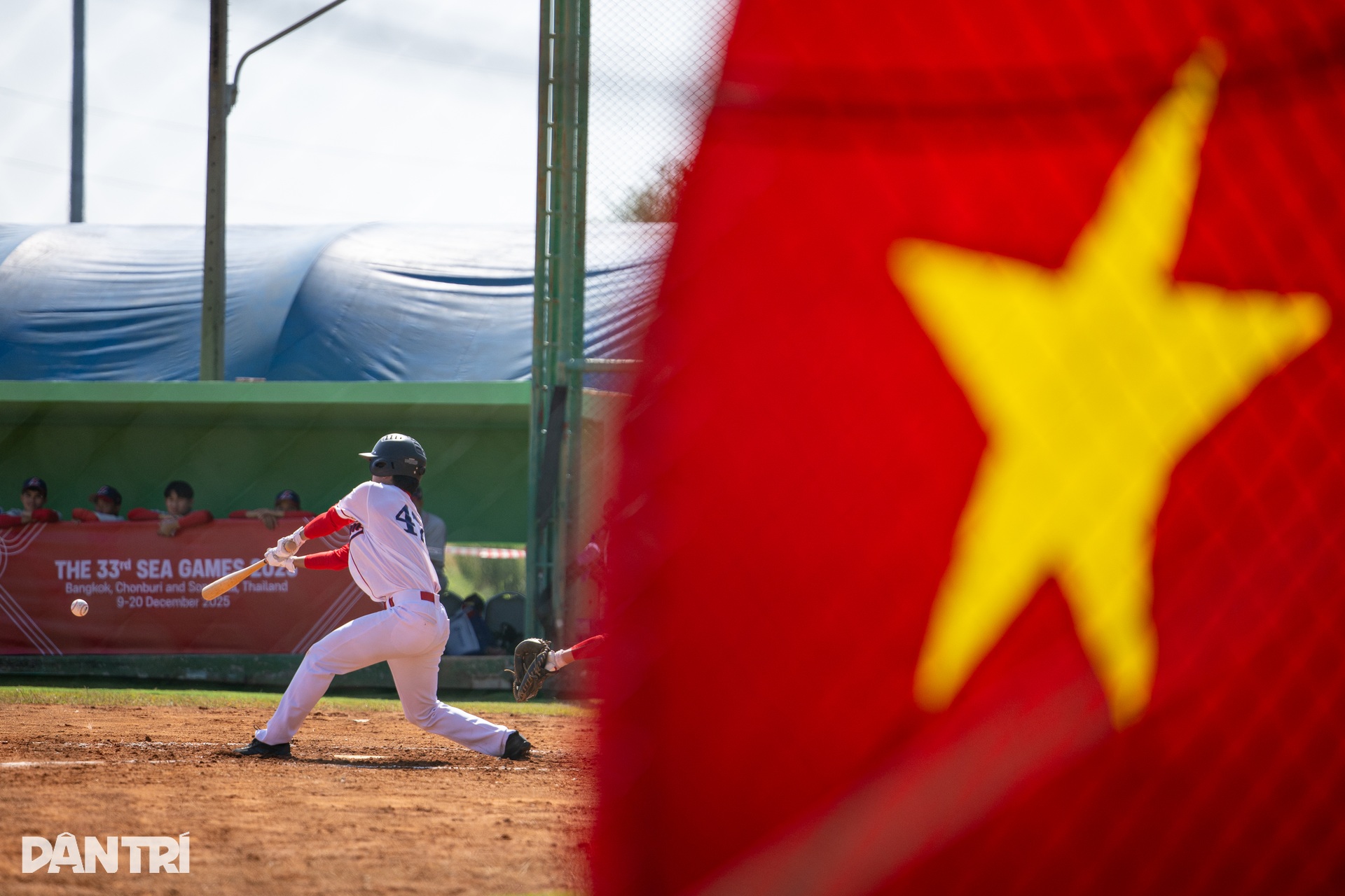 Lần trở lại năm nay mang theo một đội hình trẻ, hoàn toàn mới mẻ, những vận động viên đến với bóng chày bằng niềm đam mê, tự rèn luyện và gắn bó với môn thể thao còn rất mới mẻ ở Việt Nam.

