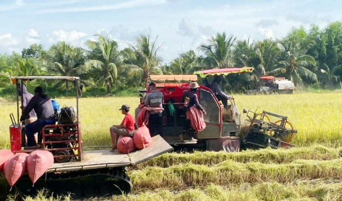 Cựu chiến binh phát huy vai trò nòng cốt trong xây dựng Đảng và chính quyền