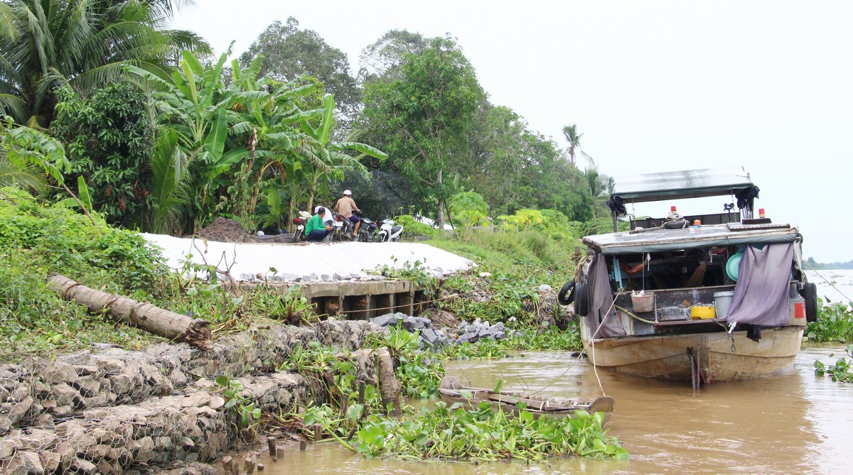 Để hạn chế sạt lở, tạo hàm ếch bờ bao, địa phương đã chủ động rọ đá tại điểm nguy cơ xảy ra sạt lở để giữ chân bờ.