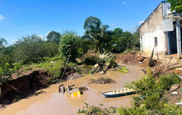 Cồn Thanh Long tiếp tục xảy ra sạt lở
