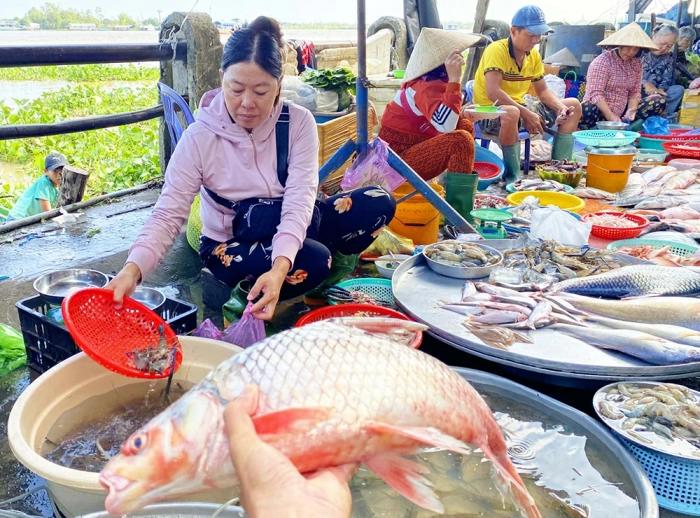 Mùa khai thác cá sông