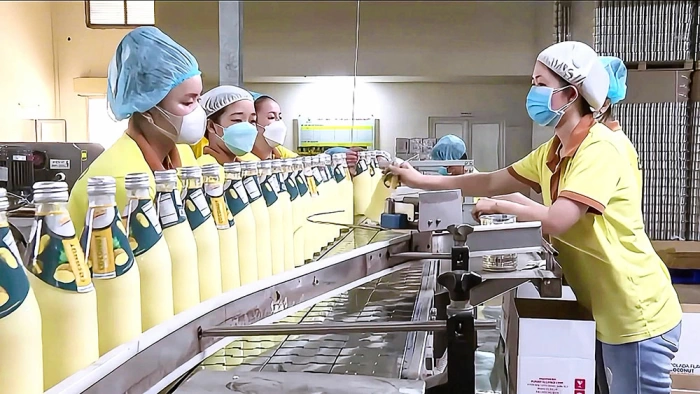 Vĩnh Long xếp 17/34 tỉnh, thành phố về PII