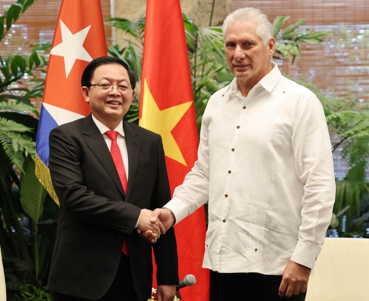 Phó thủ tướng Hồ Quốc Dũng gặp gỡ Bí thư thứ nhất, Chủ tịch nước Cuba Miguel Diaz Canel trong khuôn khổ chuyến thăm chính thức Cuba - Ảnh: THÔNG TIN CHÍNH PHỦ

