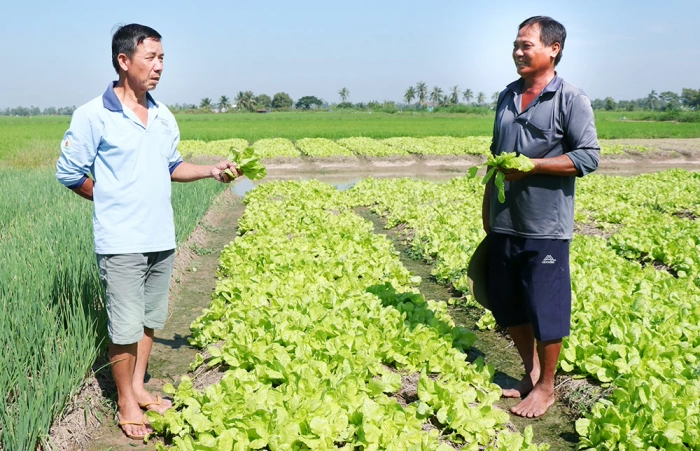 Sức bật mới của nông dân xã Hưng Mỹ