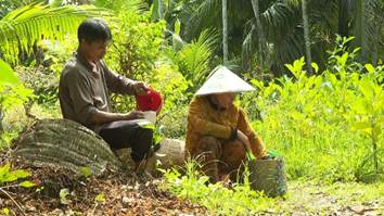 Hai vợ chồng cùng làm nghề bứng cây giống.