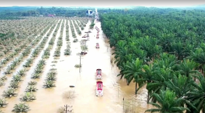 Indonesia đối mặt nguy cơ khủng hoảng nhân đạo sau thiên tai