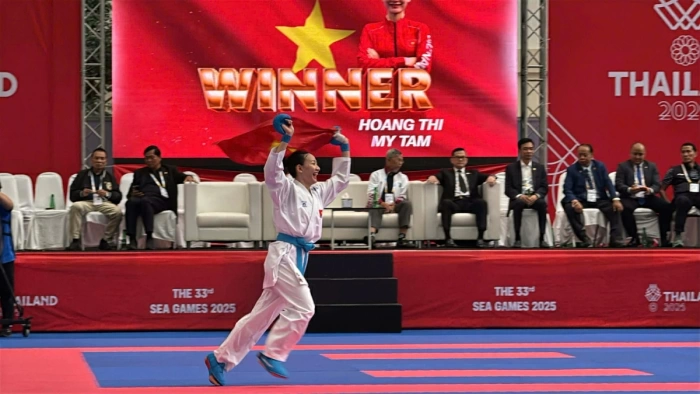 Karate Việt Nam 