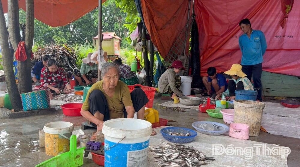Người dân tham gia làm cá có thêm thu nhập.