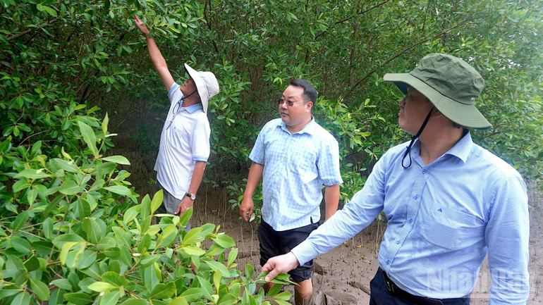 Hơn 2.600 tỷ đồng từ nhiều nguồn khác nhau đã góp phần thúc đẩy hàng trăm dự án bảo vệ và phát triển rừng trong cả nước trong giai đoạn 2021-2025.
