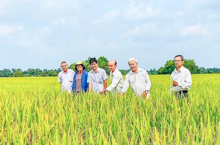 Hợp tác xã tiếp sức xây dựng nông thôn mới