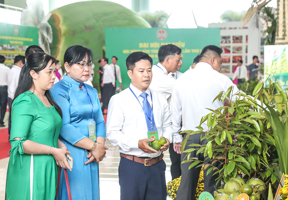 Sản phẩm của thành viên các HTX được trưng bày, quảng bá tại nhiều sự kiện lớn của tỉnh. Ảnh: NGUYỄN THỊNH