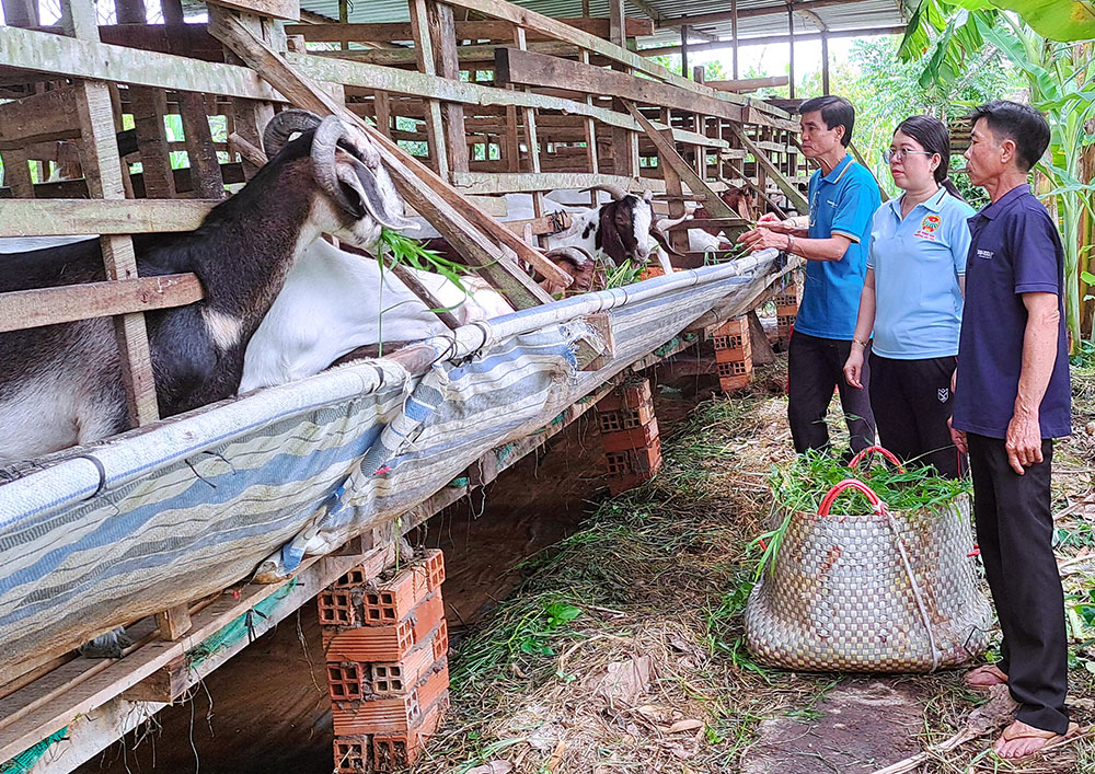 Vận động, hướng dẫn đoàn viên, hội viên và Nhân dân đoàn kết giúp nhau phát triển kinh tế.