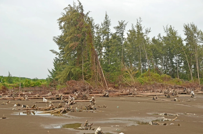 Sớm đầu tư bờ kè chống xói lở ở xã Bảo Thạnh và Tân Thủy
