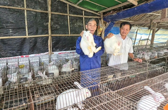 Trung Hiệp với mô hình chăn nuôi hiệu quả kinh tế cao