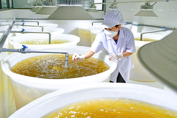 Ứng dụng khoa học công nghệ trong sản xuất tôm giống tại Công ty TNHH Bio Blue Việt Nam tại xã Đông Hải. Ảnh BÁ THI

