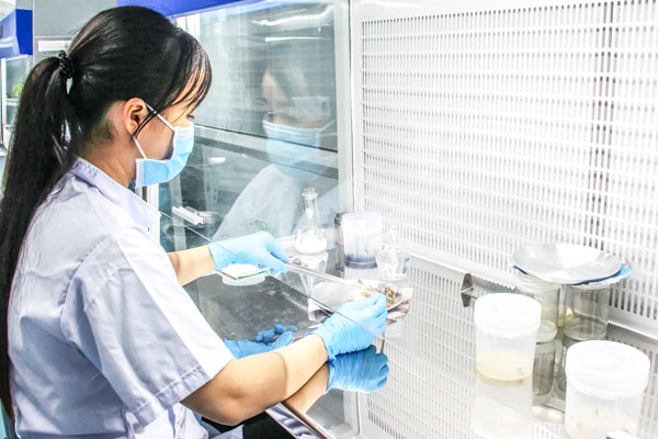 Phát triển khoa học, công nghệ, đổi mới sáng tạo và chuyển đổi số để ĐBSCL vượt qua thách thức, phát triển bền vững.

