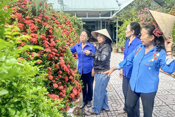 Phụ nữ tỉnh thực hiện tốt Cuộc vận động “Xây dựng gia đình 5 không, 3 sạch”, góp phần xây dựng NTM.