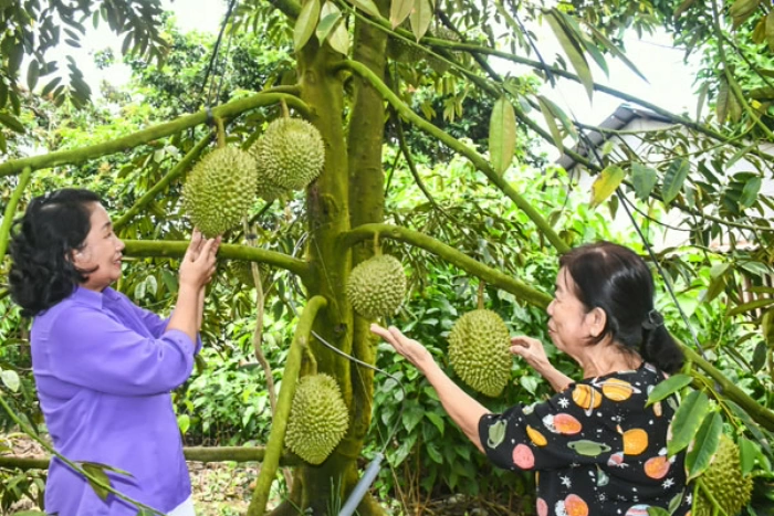 Hợp tác xã điển hình do phụ nữ quản lý