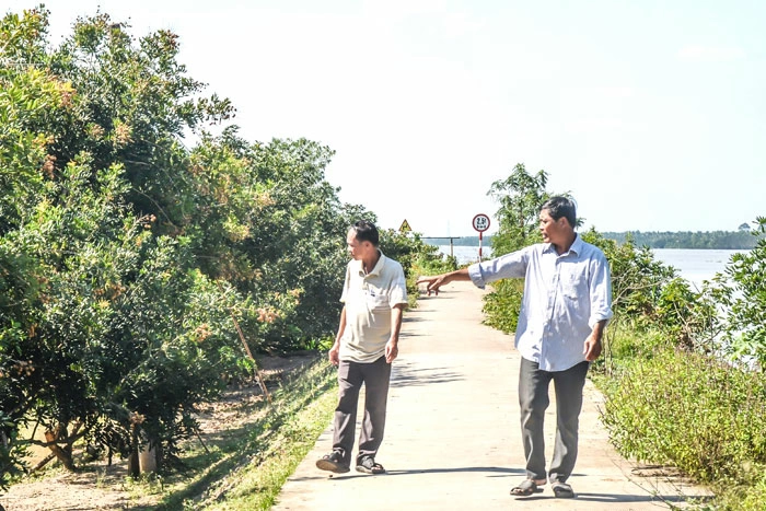 Hiệu quả từ Dự án Nâng cấp gia cố chống sạt lở đê bao cồn Tam Hiệp