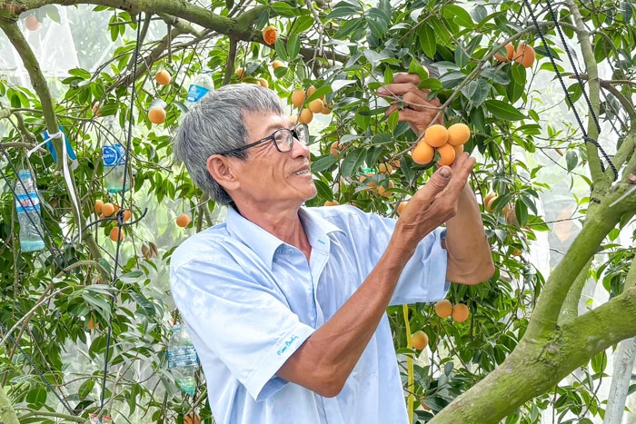 Đổi mới cách nghĩ, làm giàu từ chính mảnh vườn