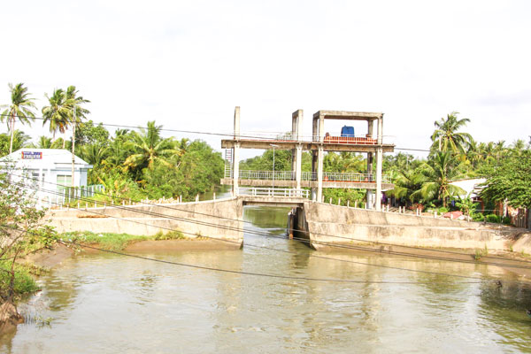 Các địa phương cần rà soát hệ thống đê bao và các cống ngăn mặn, trữ ngọt để bảo vệ sản xuất.

