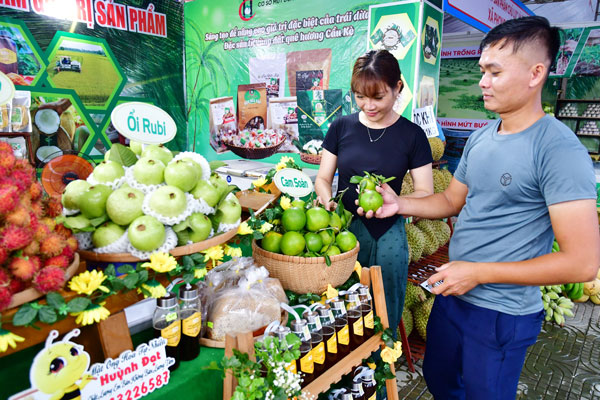 Sản phẩm trái cây ngon của Cầu Kè trưng bày tại Hội chợ thương mại, ẩm thực, trái cây ngon và Xúc tiến du lịch xã Cầu Kè năm 2025. Ảnh: BÁ THI

