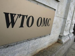 Trụ sở WTO tại Geneva phải sơ tán do nghi có bom