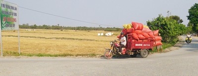 Bộ mặt nông thôn từng ngày đổi mới với những con đường trải nhựa rộng thênh thang, chạy qua cánh đồng mẫu lớn ở xã Tân Long.