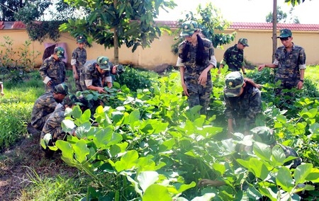 Học sinh tham gia Học kỳ quân đội thích thú với việc chăm sóc vườn rau như những người lính thực thụ.